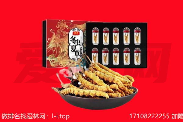 朔城区回收虫草.jpg